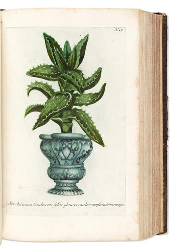 (BOTANICAL.) Johann Wilhelm Weinmann. Phytanthoza Iconographia. Vol. 1 A-B.